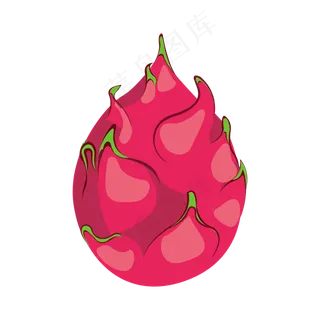 有机红心火龙果