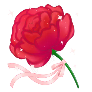 闪亮粉丝带红玫瑰