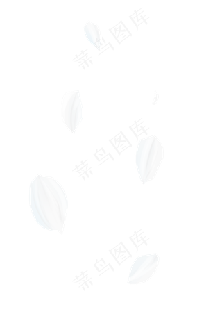 白色花瓣图片,免抠元素