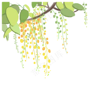 春天黄绿色枝叶藤蔓与花苞,免抠元素