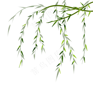 柳树叶绿色春天手绘装饰图,免抠元素
