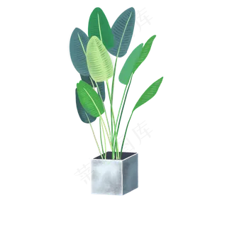 旅人蕉叶室内室外绿植免扣图,免抠元素