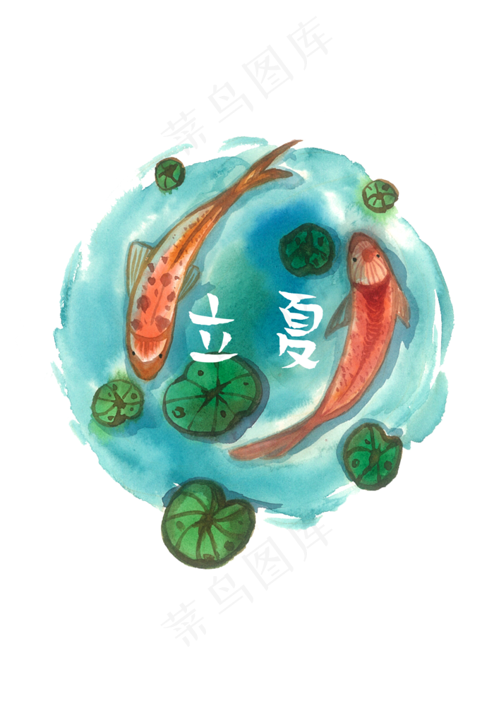 二十四节气农历夏天锦鲤荷叶消暑(1748X2480(DPI:300))psd模版下载