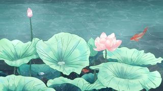 冷色系荷花塘水彩风治愈通用场景