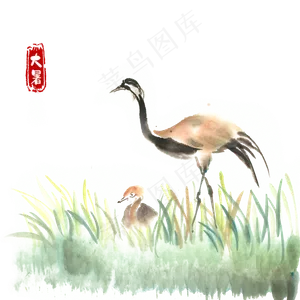大暑草丛中的母子鸟