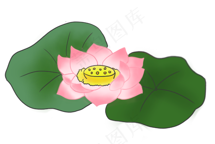 荷花花朵卡通植物(3000X2000(DPI:300))psd模版下载