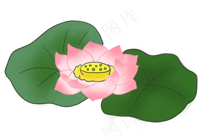 荷花花朵卡通植物(3000X2000(DPI:300))psd模版下载