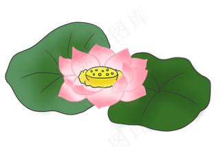 荷花花朵卡通植物