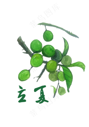 立夏植物青色果实节气农历PNG,免抠元素