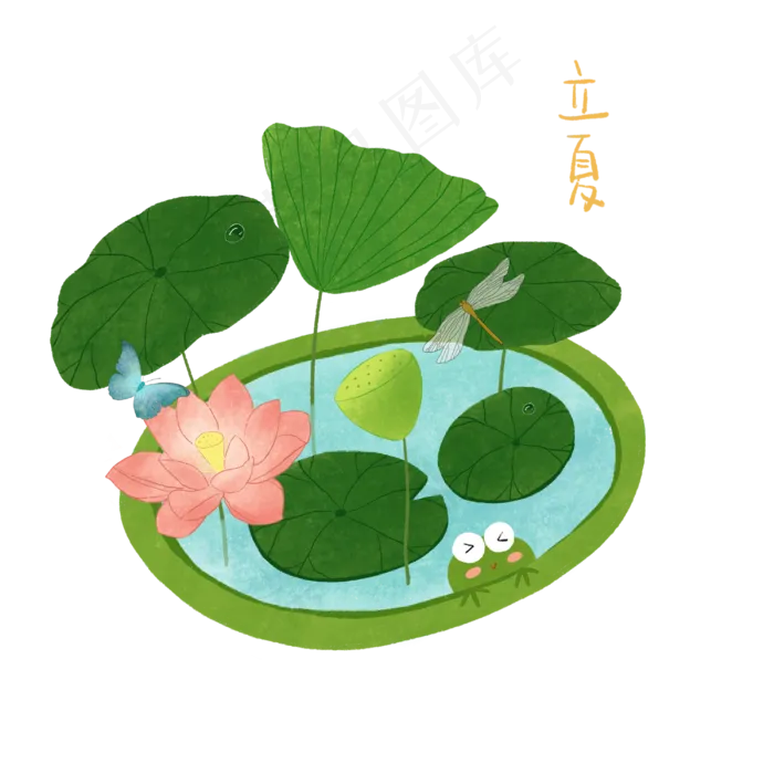 立夏节日节气池塘莲花荷花青蛙池