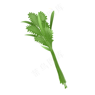 端午节艾草素材