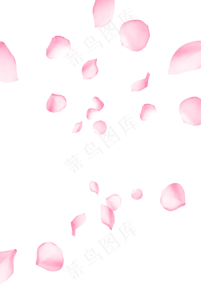 漂浮花瓣免抠PNG(658*982px 72 dpi )