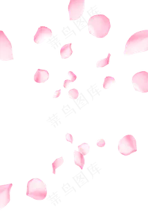 漂浮花瓣免抠PNG