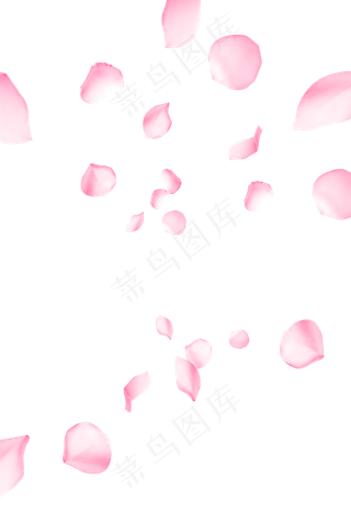 漂浮花瓣免抠PNG