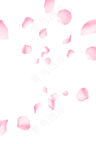 漂浮花瓣免抠PNG