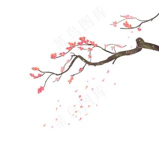 中国风水彩梅花花枝