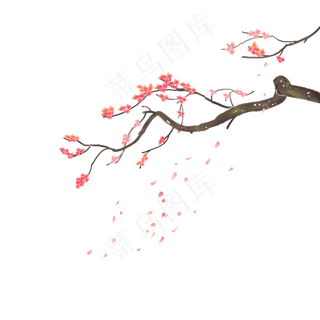 中国风水彩梅花花枝