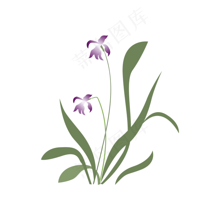 手绘古风紫色兰花插画