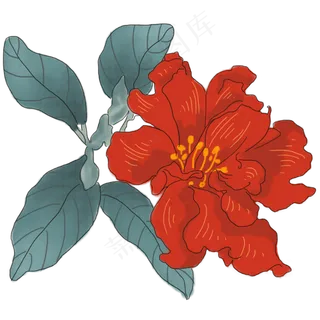 中国风手绘花卉插图