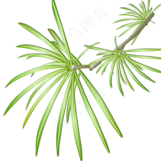 三月绿色清爽树叶