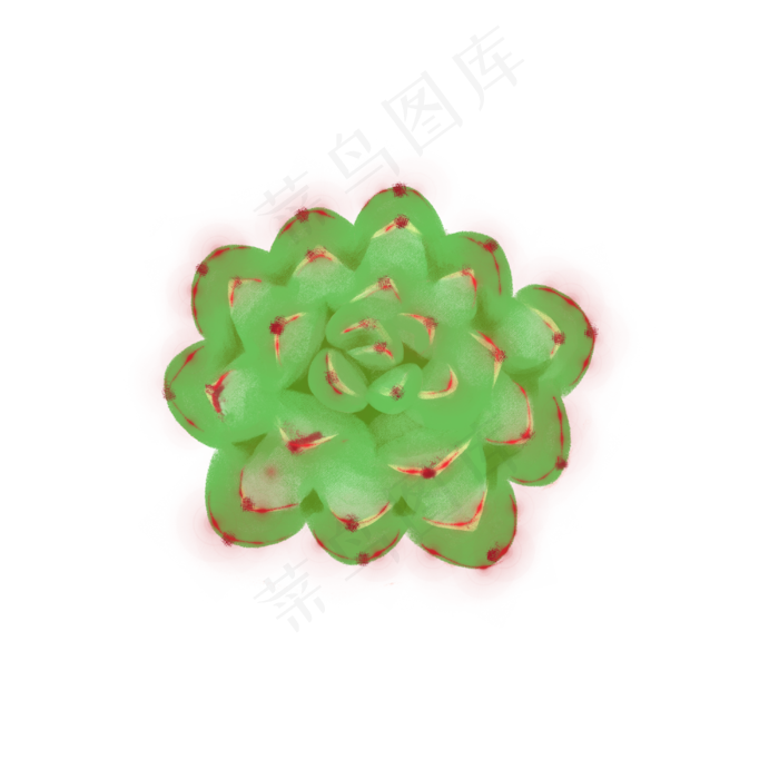 小物插画花卉绿色多肉免扣素材,免抠元素