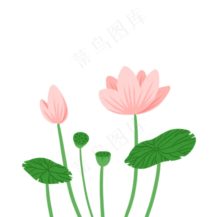 可爱小清新粉色荷花(1200X1200(DPI:300))psd模版下载