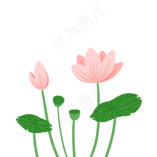 可爱小清新粉色荷花