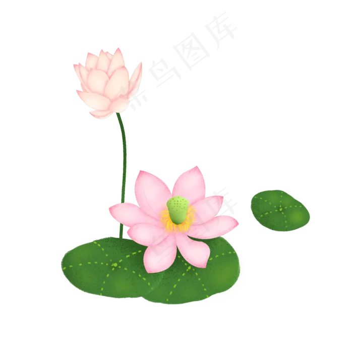 荷花花蕾荷叶粉色卡通(2000X2000(DPI:300))psd模版下载