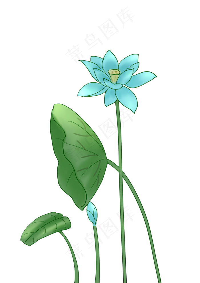 蓝色图案荷花插图