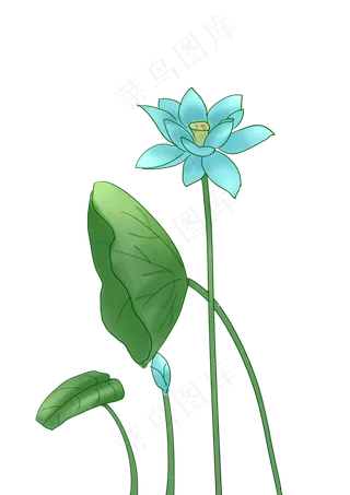 蓝色图案荷花插图