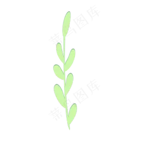 植物绿叶叶子