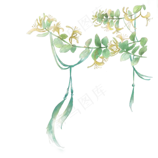 古风素材水彩流苏金银花