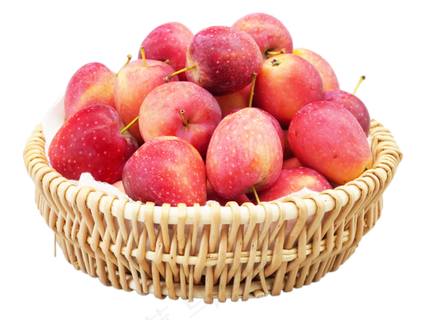 编织筐红色鸡心果