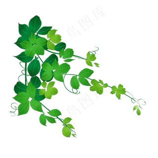 素净装饰绿色叶子藤蔓免抠