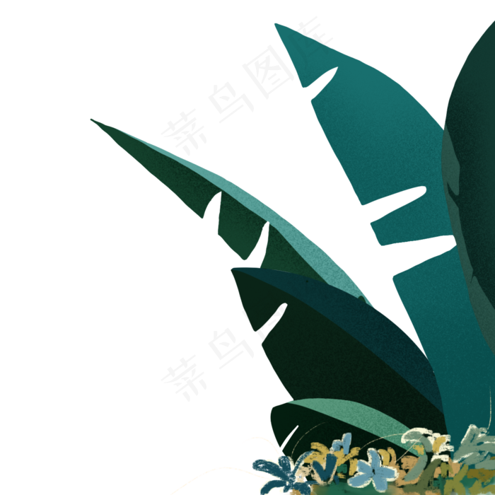 热带植物的叶子(2000X2000(DPI:300))psd模版下载