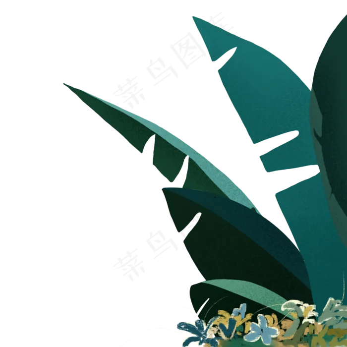 热带植物的叶子(2000X2000(DPI:300))psd模版下载