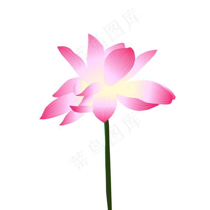 矢量手绘粉色荷花