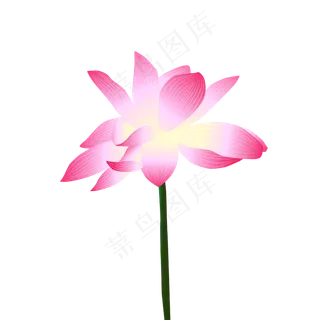 矢量手绘粉色荷花