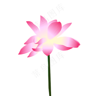 矢量手绘粉色荷花