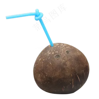 椭圆棕色椰子