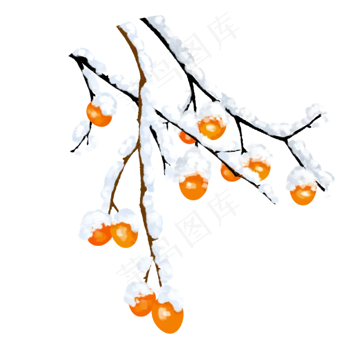 冬天冬季落雪植物,免抠元素