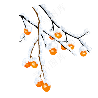 冬天冬季落雪植物,免抠元素
