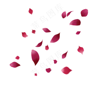 浪漫情人节漂浮花瓣装饰