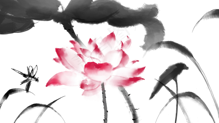 荷花莲花(2000X1125(DPI:300))psd模版下载
