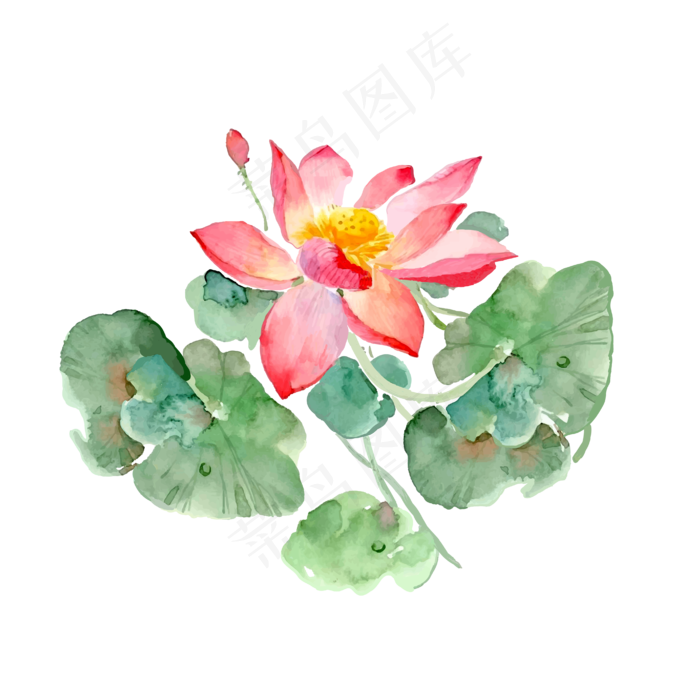 手绘荷花矢量元素,免抠元素(1024*1369px 72 dpi )ai矢量模版下载