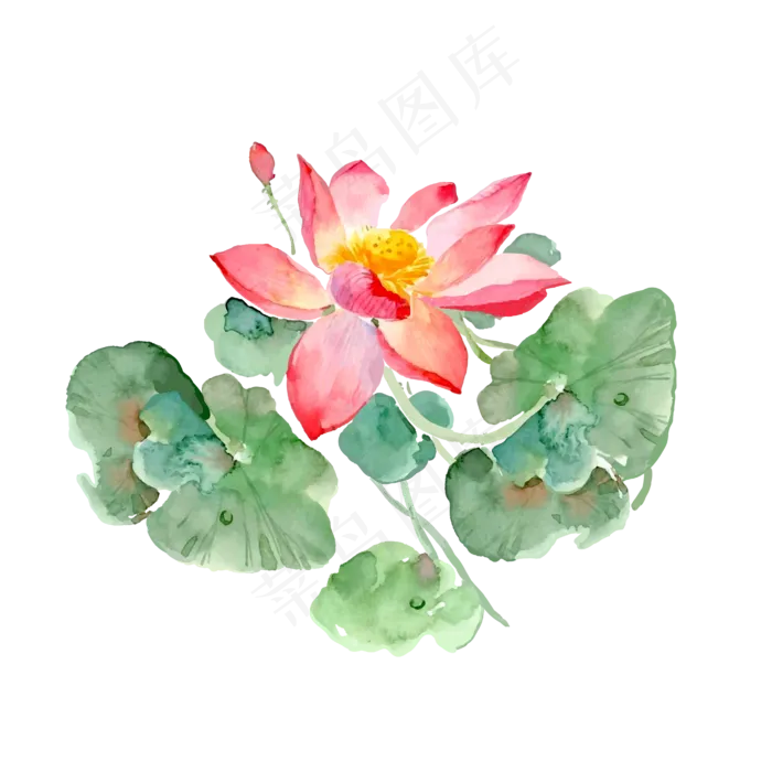 手绘荷花矢量元素,免抠元素(1024*1369px 72 dpi )ai矢量模版下载