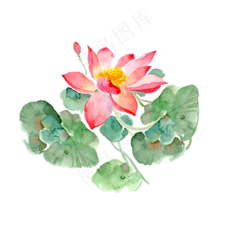 手绘荷花矢量元素,免抠元素