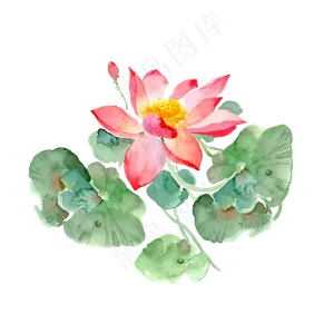 手绘荷花矢量元素,免抠元素