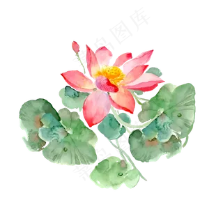 手绘荷花矢量元素,免抠元素