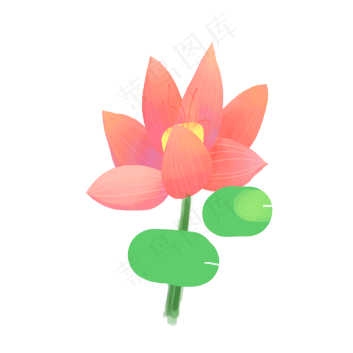 美丽的荷花(2000X2000(DPI:300))psd模版下载
